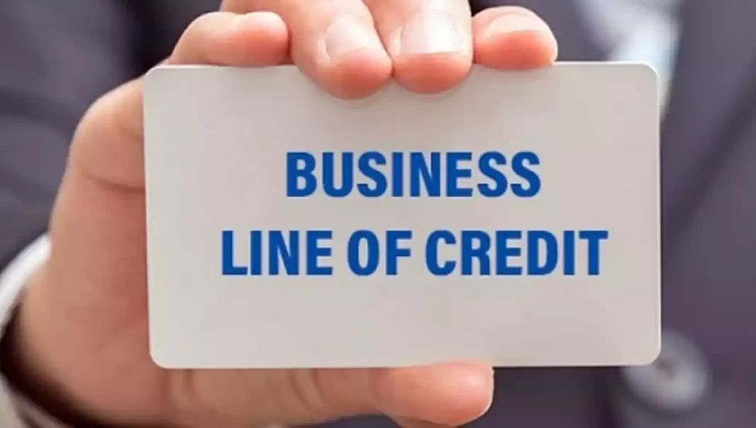 Best Business Line of Credit A Complete Guide by DAVE